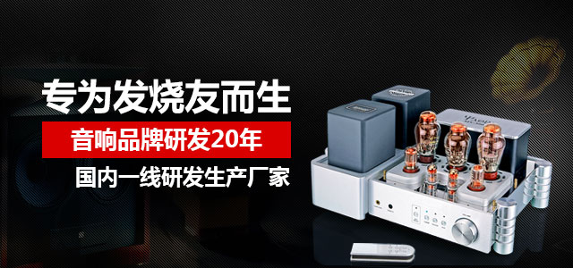 雅琴 专为发烧友而生